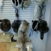 fur hats